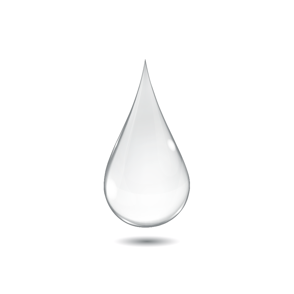 service conditionnement